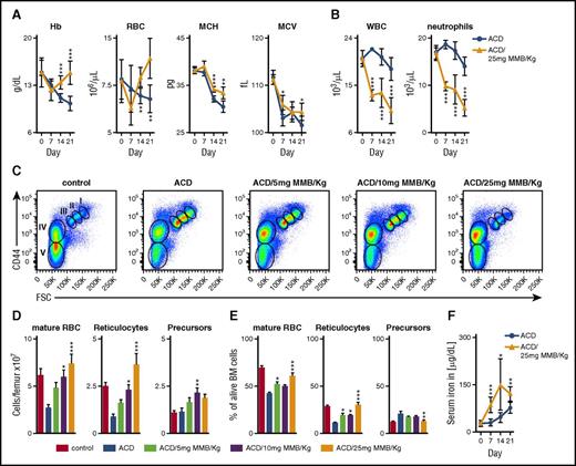 Figure 1. MMB ameliorates anemia in a rat model of ACD. (A-B) Hb, RBC count, mean corpuscular hemoglobin (MCH), mean corpuscular volume (MCV), white blood cell count (WBC), and neutrophil count in ACD rats after MMB (25 mg/kg) treatment for 21 days (day 0; corresponds to 14 days after PG-APS injection). (C-E) Representative FACS dot plots from rat bone marrow after 3 weeks of MMB (5, 10, or 25 mg/kg) treatment. FACS analysis was performed with freshly isolated bone marrow cells 6 hours after the last administration of MMB. The total numbers (D) as well as percentages (E) of the different erythropoietic populations per femur are shown as means ± standard errors of the mean (more details provided in supplemental Figure 2). (F) Serum iron levels after MMB (25 mg/kg) treatment. Unpaired Student t test was applied for comparison at each time point (A-B,F) and analysis of variance with Dunnett’s correction for multiple comparisons vs ACD (D-E). *P < .05, **P < .01, ***P < .001. FSC, forward scatter.