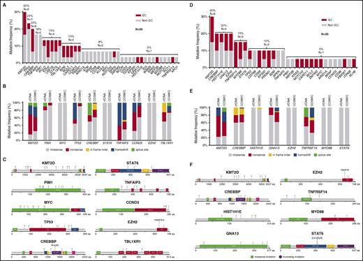 Figure 1. Prevalence and molecular spectrum of nonsynonymous somatic mutations discovered in plasma cfDNA. The percentage of training (A) and validation (D) DLBCL cases harboring nonsynonymous somatic mutations of genes investigated by targeted resequencing of plasma cfDNA. Color codes indicate the distribution of mutations among GC and non-GC DLBCL. The final number and prevalence of mutated cases is given for each gene. The molecular spectrum of nonsynonymous somatic mutations identified in plasma cfDNA of the training (B) and validation (E) DLBCL cases compared with the molecular spectrum of nonsynonymous somatic mutations that have been detected in the tumor gDNA of published DLBCL series and reported in the COSMIC database (version 76). Genes mutated in >10% cases of the DLBCL series are reported. The position and type of nonsynonymous somatic mutations that were identified in plasma cfDNA of the training (C) and validation (F) DLBCL cases. Genes mutated in >10% cases are reported. Mutation maps were obtained through MutationMapper version 1.0.1.