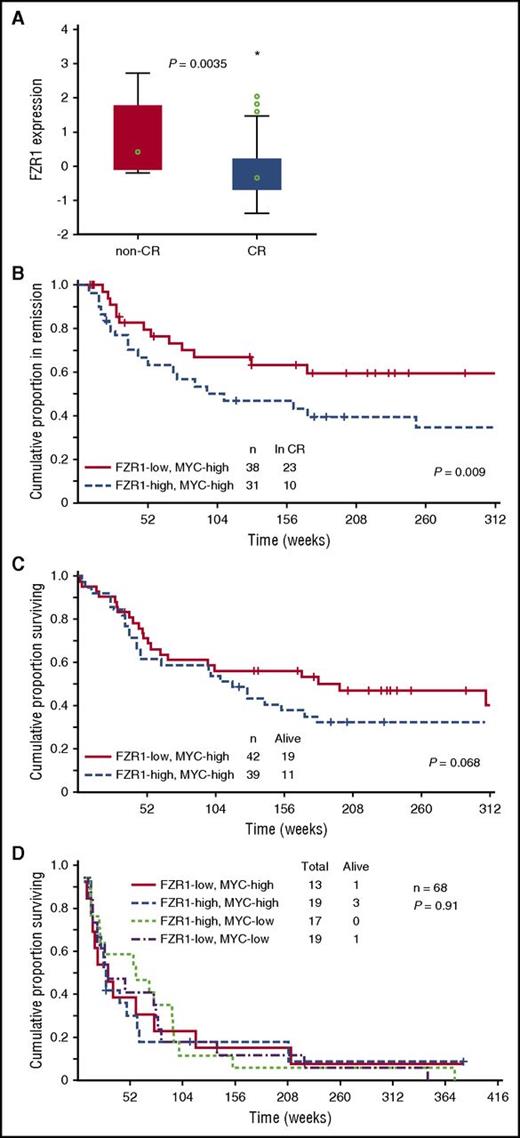 Figure 4. Relation of clinical characteristics to FZR1 and MYC expression levels in 172 B-ALL patients with clinically annotated specimens. (A) Comparison of FZR1 expression levels in B-ALL specimens obtained from patients with newly diagnosed disease who had high levels of MYC expression and either complete remission (CR; n = 69) or no remission (n = 12). The relation between FZR1 expression level and clinical response was evaluated with the Kruskal-Wallis test. (B) Remission duration stratified according to FZR1 expression level in the highly MYC-expressing (MYC-high) B-ALL specimens for the 69 patients in panel A who had complete remission. (C) Overall survival stratified according to FZR1 expression level in the MYC-high B-ALL specimens for the 81 patients in panel A. (D) Survival curves after relapse of B-ALL (68 of the 172 patients) stratified according to the levels of FZR1 and MYC expression in B-ALL specimens obtained at diagnosis.