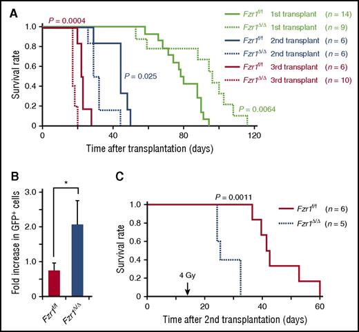 Figure 5. Serial transplantation of Fzr1-deficient B-ALL cells generates more progressive and resistant disease. (A) Survival curves for the indicated numbers of mice receiving primary, secondary, or tertiary transplants of Fzr1-intact or Fzr1-deficient B-ALL cells. P values for comparisons between the 2 types of B-ALL cells for each transplantation were determined with the log-rank test. The data for the primary transplant recipients are the same as those in Figure 2A. (B) Increase in the percentage of GFP+ cells in PB between the day of and 3 days after irradiation for secondary transplant recipients that were irradiated 14 days after transplantation. Data are presented as mean ± SD (n = 3 mice per group); *P = .0043. (C) Survival curves for the secondary transplant recipient mice as in (B). The P value for a comparison between the 2 groups was determined with the log-rank test (n = 6 mice for Fzr1-intact and 5 mice for Fzr1-deficient group).