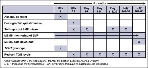 Figure 1. Study schema.