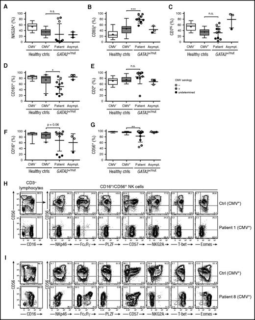 Figure 2. Surface receptor expression patterns associated with adaptive NK cells in patients with GATA2 mutation. PBMCs from CMV-seronegative (n = 12) and -seropositive (n = 26) healthy donors as well as patients (n = 10) and asymptomatic carriers (n = 3) with heterozygous GATA2 mutations were examined by flow cytometry. Graphs depict the percentages of CD3−CD56dim/CD16+ NK cells expressing (A) NKG2A, (B) CD85j, (C) high levels of CD7, (D) CD161, (E) CD2, (F) CD16, and (G) CD56. CMV serostatus for GATA2 patients and carriers is indicated as seronegative (open circles), seropositive (gray circles), or undetermined (black circles). Boxes indicate 25th, 50th (median), and 75th percentiles, with a plus indicating the mean. For box plots, whiskers indicate 95% confidence intervals. Otherwise, error bars indicate mean with SD. P values were determined using the Student unpaired t test. *P < .05, **P < .01, and ***P < .001. (H-I) Contour plots show CD56 and CD16 expression on CD3− lymphocytes on representative CMV-seropositive healthy donors with adaptive NK-cell expansions as well as 2 selected patients with heterozygous GATA2 mutation and high frequencies of CD3−CD16+CD56− NK cells. Plots gated on CD3−CD16+/CD56+ NK cells depict CD56 vs NKp46, FcεRγ, PLZF, CD57, NKG2A, T-bet, and Eomes expression.