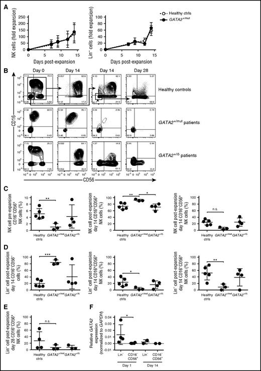 Figure 6. Paucity of NK-cell progenitors in blood from patients with GATA2 mutation. NK-cell or CD3−CD20−CD14−CD16−CD56− (Lin−) cell populations were cultured with irradiated B-LCL feeder cells and IL-2. (A) Charts depict expansion kinetics of total NK cells and Lin− cells up to 14 day of ex vivo expansion. (B) Representative flow plots of control, GATA2 exonic/splicing mutation, and GATA2 intron 5 mutation. CD16 and CD56 expression on gated mononuclear CD3−CD20−CD14− cells is shown. Total NK cells and Lin− cells were sorted and cultured separately for 14 days. Lin− cells were sorted and stimulated again from day 14 Lin− cell culture for another 14 days (shown as day 28). (C-E) NK-cell subpopulations frequencies of (C) pre-expansion, day 14 total NK cells, (D) day 14 Lin− cells, and (E) day 28 Lin− cells are shown in comparison. (F) Relative GATA2 expression levels in sorted control Lin− cells compared with control CD16−CD56+ cells at day 1 (n = 4) and day 14 (n = 2) ex vivo culture. Bars indicate mean ± SD. *P < .05, **P < .01, and ***P < .01.