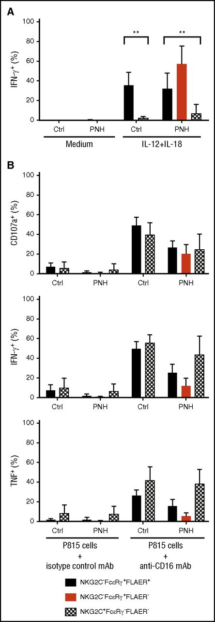 Figure 3. Adaptive and canonical NK cells from PNH patients are functional. (A) PBMCs from CMV-seropositive healthy individuals (Ctrl, n = 5) or PNH patients (PNH, n = 10) were stimulated in the presence of IL-12 and IL-18. After 18 hours, canonical (NKG2C−FcεRγ+, filled bars, black for FLAER+ and red for FLAER− from the PNH patients) and adaptive (NKG2C+FcεRγ−, patterned, in PNH patients only FLAER− given lack of FLAER+ cells in this fraction) NK cells from controls and PNH patients were analyzed for intracellular IFN-γ expression. (B) Frequencies of adaptive and canonical NK cells showing degranulation (surface CD107a) and cytokine production (intracellular IFN-γ and tumor necrosis factor expression) after 6 hours of stimulation with P815 target cells and anti-CD16 monoclonal antibody (mAb). **P > .01, 1-way analysis of variance.