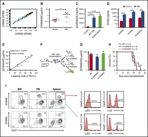 Figure 1. Expression of S100A8 and S100A9 in AML. (A) S100A8 and S100A9 RNA expression in patients with AML in the Leucegene cohort. Each dot represents 1 patient: orange, myelomonocytic and monocytic AML; blue, undifferentiated M0 and M1 AML. (B) S100A8/A9 concentration in plasma of patients with AML (n = 6) and healthy controls (n = 10) measured by ELISA. (C) S100A8/A9 plasma concentrations in control and MLL-ENL or H9M1 AML mice (control, n = 5; AML, n = 3). (D) Concentrations of heterodimeric S100A8/A9 and homodimeric S100A8 and S100A9 in plasma of control or H9M1 AML mice at death (n = 3). (E) Correlation of plasma S100A8/A9 concentration with percentage of leukemic cells in peripheral blood (PB) of H9M1 secondary recipients during leukemia progression. (F) Schematic representation of the in vivo experiments. (G) S100A8/A9 concentrations in plasma at death of WT, S100A8KO, and S100A9KO recipient mice receiving WT AML cell transplants (n = 6). (H) Kaplan-Meier survival curves of mice (WT, S100A8KO, or S100A9KO) receiving 2 × 106 BM cell transplants from WT C57BL/6-expressing H9M1. (I) Intracellular flow cytometry analyses of S100A8 and S100A9 expression in BM, PB, and spleen of H9M1 AML mice (left). Ly6G and c-kit marker expression in AML S100A+ and S100A− subpopulations (right). Data are represented as the mean ± standard error of the mean. Two-tailed Student t tests were used to assess statistical significance from 2 independent experiments. *P < .05; **P < .01; ****P < .0001. ns, not significant; RPKM, reads per kilobase of transcript per million.
