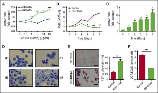 Figure 4. S100A9 promotes terminal differentiation of human AML cells through TLR4. (A) Effect of increasing doses of rhS100A8 and rhS100A9 on expression of CD14 in human CB CD34+ cells transduced with MLL-AF9. Expression of the surface marker CD14 was evaluated by flow cytometry on transduced cells (EGFP+) after stimulation with different doses of rhS100A8 or rhS100A9 for 48 hours. (B) Proliferation of human MLL-AF9+ cells stimulated with 20 µg of rhS100A9 or phosphate buffer saline (PBS) in vitro for 5 days. (C) Kinetics of CD14 expression after stimulation of human MLL-AF9+ cells with 20 µg of rhS100A9. (D) Cytospins of human MLL-AF9+ AML at different time points showing signs of macrophage maturation induced by rhS100A9 (20 µg/ml). Scale bars, 20 µm. (E) Cytospins of nitroblue tetrazolium (NBT)–positive cells counterstained with safranin 0.15% and percentages of NBT-positive cells. Scale bars, 20 µm. (F) OCR/ECAR ratio indicative of bioenergetic profile of human MLL-AF9+ AML cells stimulated with rhS100A9. Data are represented as the mean ± standard error of the mean. P value was determined by Student t test. *P < .05, **P < .01, or ***P < .001 from 3 independent experiments.