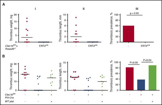 Figure 1. CLEC-2 exacerbates DVT in mice. (A) Clec1bfl/fl × Rosa26+/creERT2 (n = 10) and their Clec1bfl/fl littermates (n = 9) after 2 weeks of tamoxifen diet followed by 4 weeks of normal diet or (B) Clec1bfl/fl Pf4-Cre mice (n = 13) and control littermates (n = 11) were subjected to IVC stenosis for 48 hours. Some of the Clec1bfl/fl Pf4-Cre mice were transfused with 8 × 108 WT platelets prior to surgery. (i-iii) Thrombus weight, thrombus length, and thrombosis prevalence, respectively. Lines in dot plots represent median. Note restoration of thrombosis after transfusion of WT platelets.