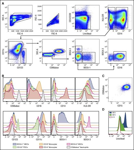 Figure 1. Simultaneous isolation of pure populations of human neutrophils, monocytes, and DC subsets by flow cytometry cell sorting. (A) Pure populations of human CD66abce+ neutrophils, CD14+ and CD14−CD16+ monocytes, CD123+ PDCs, and CD11c+ MDC subsets (BDCA-1+ and BDCA-3+ subsets) were isolated from the elutriated monocyte-fraction after apheresis by flow cytometry sorting according to the depicted gating strategy. CD14−CD16+ monocytes are now indicated as CD16+ monocytes only for simplicity. (B) Representative flow histograms show the expression levels of the indicated markers on the sorted APC populations. (C) Sorted CD66abce+ neutrophils coexpress CD15. (D) Representative flow histograms show the live/dead staining (LIVE/DEAD fixable dead cell stain kit) on sorted neutrophils over time. Neutrophils showed high viability for at least 30 hours and can be maintained in culture longer. A representative donor of 6 is shown. FSC-A, forward scatter area; FSC-H, forward scatter height; SSC-A, side scatter area.