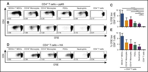 Figure 2. Neutrophils can present antigens to antigen-specific memory CD4+ T cells but MDCs and monocytes have the highest capacity. Sorted APCs from CMV- or influenza-seropositive donors were pulsed respectively with CMV pp65 or influenza HA and cocultured with autologous CFSE-labeled CD4+ T cells. Their capacity to present antigen to CD4+ T cells was evaluated by measuring proliferating T cells (CFSE dilution). (A,B,D) Proliferating (CFSE low) CD4+ T cells in presence of the indicated APCs from 2 CMV-seropositive donors (A-B) or 1 representative HA-seropositive donor (D) are shown. Bars show percentages of (C) pp65-specific and (E) HA-specific proliferating CD4+ T cells (mean ± SEM, n = 6 and n ≥ 2 healthy human donors, respectively). **P < .01, *** P < .001, **** P < .0001.