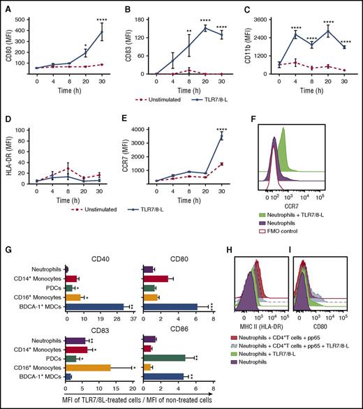 Figure 5. TLR7/8-L induces neutrophil activation but is not sufficient for the induction of MHC-II molecules. (A-F) Neutrophils exposed to TLR7/8-L were phenotypically characterized over time by flow cytometry. TLR7/8-L activated neutrophils as detected by upregulation of CD80 (A) and CD83 (B) as well as upregulation of the integrin CD11b (C) over time but was not sufficient for the upregulation of HLA-DR (D). TLR7/8-L enhanced CCR7 levels on neutrophils (E-F). Quantified MFIs of the indicated markers ± SEM on neutrophils over time (A-E) and representative histograms of the surface expression levels of CCR7 from a representative donor of 3 at 30 hours (F) are shown. (G) Surface expression levels of CD80, CD86, CD40, and CD83 on distinct sorted APCs after overnight exposure to TLR7/8-L. Data are presented as ratio of the MFI values between TLR7/8-L–treated and unstimulated cells ± SEM. (H-I) Representative histograms show the surface expression levels of HLA-DR (H) and CD80 (I) on human neutrophils cultured for 30 hours alone or in presence of autologous CD4+ T cells and pp65 with or without TLR7/8-L (2.5 μg/mL); n = 3-5 healthy human donors. *P < .05, **P < .01, ***P < .001, ****P < .0001. FMO, fluorescence minus one.