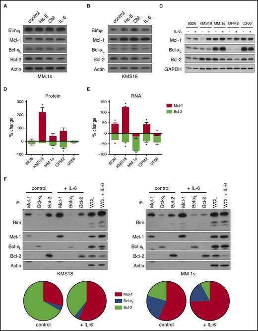 Figure 3. IL-6 regulates Bcl-2 family expression and binding to Bim. MM.1s (A) and KMS18 (B) cells were cocultured with Hs-5 cells, 50% conditioned media from Hs-5 cells, or treated with 10 ng/mL IL-6 for 24 hours. Lysates were prepared and subject to sodium dodecyl sulfate–polyacrylamide gel electrophoresis (SDS-PAGE) followed by western blotting for Bim, Mcl-1, Bcl-xL, Bcl-2, and actin. (C) The 8226, KMS18, MM.1s, OPM2, and U266 cells were treated with 10 ng/mL IL-6 for 24 hours. Cells were then lysed for protein and western blotting or RNA and quantitative reverse transcription PCR (qRT-PCR). A representative western blot of 3 independent experiments is shown. (D) Changes in protein expression were quantitated by densitometry after normalizing to glyceraldehyde-3-phosphate dehydrogenase (GAPDH) levels. (E) RNA expression of Mcl-1 and Bcl-2 were measured using qRT-PCR. Both graphs depict the mean percent change ± SE relative to untreated cells (*P < .05 by the 1 sample Student t test). (F) MM.1s and KMS18 were treated with 1 ng/mL IL-6 for 24 hours, and protein lysates were prepared then subjected to coimmunoprecipitation with anti-Mcl-1, anti-Bcl-xL, and anti-Bcl-2 antibodies. The resulting protein complexes and protein input (WCL) were examined by western blot analysis using anti-Bim, anti-Mcl-1, anti-Bcl-xL, and anti-Bcl-2. The proportion of Bim bound to Mcl-1, Bcl-xL, and Bcl-2 was quantitated by densitometry and is represented as a pie chart for each condition. Each pie chart is the average of 3 independent experiments.
