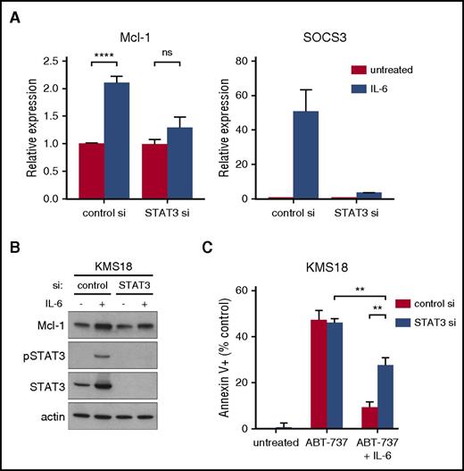 Figure 4. STAT3 knockdown partially reverses the protective effect of IL-6. RNA (A) and protein lysates (B) were prepared from cells 72 hours after nucleoporation with either control siRNA or STAT3 siRNA and after 24 hours IL-6 treatment. RNA expression of Mcl-1 and SOCS3 was determined by qRT-PCR and is graphed as fold change relative to untreated control siRNA cells. Protein was subjected to SDS-PAGE and western blotting for phospho-STAT3, total STAT3, Mcl-1, and actin. (C) Forty-eight hours after siRNA nucleoporation, cells were treated with 1.5 μM of ABT-737 with or without 1 ng/mL IL-6 for 24 hours and cell death measured by annexin V-FITC and PI staining. Data are presented as the mean ± SE of 3 independent experiments (**P < .01; ****P < .0001).