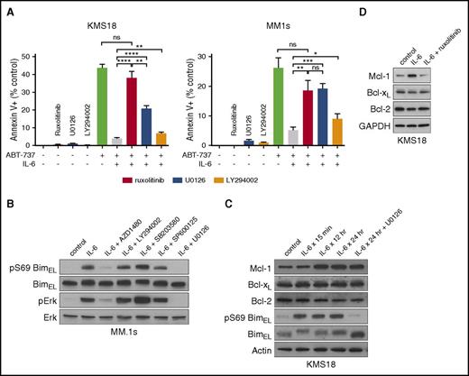 Figure 5. Distinct effects of IL-6 signaling pathways on Bim and Mcl-1. (A) MM.1s and KMS18 were treated with ABT-737 in combination with 1 ng/mL IL-6 and either 1 μM ruxolitinib, 10 μM U0126, or 10 μM LY294002 for 24 hours. Cell death was measured by flow cytometry after staining with annexin V-FITC and PI. Data are presented as the mean ± SE of 3 independent experiments (*P < .05; **P < .01; ***P < .001; ****P < .0001). (B) MM.1s was treated with 1 ng/mL IL-6 in the presence of 1 μM AZD1480, 10 μM LY294002, 10 μM SB203580, 10 μM SP600125, or 10 μM U0126 for 15 minutes. Protein lysates were prepared and subjected to SDS-PAGE and western blotting with antibodies against serine 69 phosphorylated Bim, total Bim, phosphorylated Erk, and total Erk. (C) KMS18 was treated with 1 ng/mL IL-6 for the indicated times and with 10 μM U0126 followed by western blotting for Mcl-1, Bcl-2, Bcl-xL, serine 69 phosphorylated Bim, total Bim, and actin. (D) KMS18 was treated with 1 ng/mL IL-6 with or without 1 μM ruxolitinb for 24 hours followed by western blotting for Mcl-1, Bcl-2, Bcl-xL, and GAPDH.