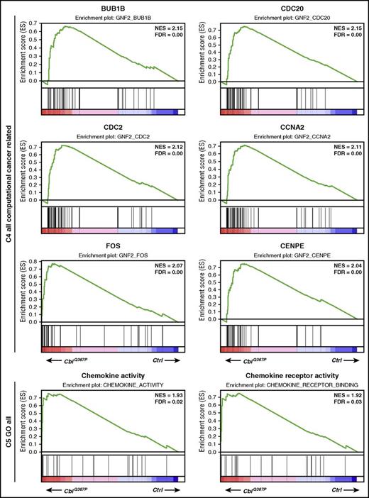 Figure 4. Results of the pathway analysis of the LSK cells. Pathways positively enriched in CblQ367P HSPCs compared to control cells are shown. The top 6 plots of C4 all computational cancer-related gene sets and the top 2 plots of C5 GO all gene sets are shown. FDR: false discovery rate; NES, normalized enrichment score.