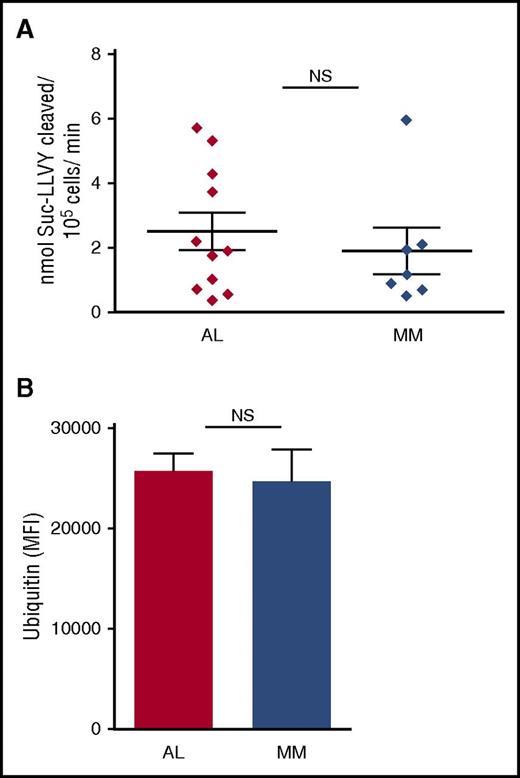 Figure 2. Comparable proteasome capacity and workload in primary PCs from AL amyloidosis and MM patients. Primary AL and MM PCs, purified as in Figure 1, were assayed in vitro for proteasome capacity (10 AL and 7 MM samples) and workload (5 AL and 6 MM samples). (A) Total cellular proteasome activity (capacity) was determined by means of an established fluorogenic peptide specifically probing the chymotryptic activity of the 20S proteolytic core (LLVY-amc), and expressed as peptide cleavage per total proteins over time. (B) Proteasome workload was estimated by automated, unbiased quantification of the intracellular accumulation of ubiquitinated proteins, upon immunofluorescent staining. Both graphs show each patient’s average value, and each group’s mean ± standard error (Student t test). MFI, mean fluorescence intensity.