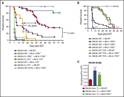 Figure 2. Recipient-derived IL-17A protects against GVHD by signaling in recipient tissues without contribution from IL-17E or IL-17B molecules. (A) G-CSF mobilized T-cell replete or TCD BALB/c.WT, BALB/c.IL-17A−/−, or BALB/c.IL-17RA−/− donor grafts were transplanted into lethally irradiated B6.WT, B6.IL-17A−/−, or B6.IL-17RA−/− mice. Survival is represented by Kaplan-Meier analysis. Combined data from 5 individual experiments are shown. BALB/c.WT → B6.WT (red filled circles; n = 37); BALB/c.WT → B6.IL-17RA−/− (blue open circles; n = 39); BALB/c.IL-17RA−/− → B6.IL-17RA−/− (green filled square; n = 12); BALB/c.IL-17A−/− → B6.IL-17A−/− (purple filled inverted triangle; n = 21); BALB/c.WT → B6.IL-17A−/− (orange filled diamond; n = 20); BALB/c.IL-17A−/− → B6.WT (green open squares; n = 16); and BALB/c.WT (TCD) → B6.IL-17RA−/− (lavender filled triangle; n = 14). ****P < .0001, WT vs IL-17A−/− recipients; ****P < .0001, WT vs IL-17A−/− recipients transplanted with donor WT or IL-17A−/−, respectively. (B) G-CSF mobilized BALB/c.WT donor grafts were transplanted into lethally irradiated (B6.WT, red filled circles; B6.IL-17RA−/−, blue filled squares; B6.IL-17RB−/−, green open squares; or B6.IL-17RC−/−, purple filled inverted triangles) recipients (n = 17 to 24 per group). TCD BALB/c.WT grafts were transplanted into lethally irradiated (WT, orange open triangle; IL-17RA−/−, green open circle; IL-17RC−/−, lavender open circle) recipients (n = 3 to 7 per TCD group). Survival is represented by Kaplan-Meier analysis. Combined data from 4 replicate experiments are shown. ***P < .0001, WT vs IL-17RA−/− recipients; ***P < .0001, WT vs B6.IL-17RC−/− recipients. (C) BALB/c.WT donor BM and luciferase-expressing T cells were transplanted into lethally irradiated B6.WT, B6.IL-17RA−/−, and B6.IL-17RC−/− recipients (n = 8 to 9 per group). Animals were imaged at day 6 post-alloSCT and the bioluminescence intensity quantified (photons/sec/cm2/sr × 106). Combined data from 2 replicate experiments are shown. ****P < .0001, WT (red bars) vs IL-17RA−/− (blue bars); ***P = .0002, WT vs IL-17RC−/− (green bars). All data are presented as mean ± SEM.