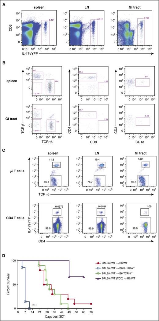 Figure 4. Recipient γδ T cells and conventional CD4 T cells are the predominant source of IL-17A after SCT. (A) Representative plots showing the frequency of IL-17eYFP+ cells in spleen, LN, and the GI tract of naïve B6.IL-17eYFP reporter mice. (B) Phenotype of the IL-17eYFP+ cells in the spleen and GI tract; γδ T cells (TCRγδ+), conventional CD4 T cells (TCRβ+ CD4+), conventional CD8 T cells (TCRβ+ CD8+), and NKT cells (CD3+ CD1d+) are shown. (C) Proportion of IL-17eYFP+ vs IL-17eYFPneg γδ T cells and conventional CD4 T cells in spleen, LN, and the GI tract of naïve B6.IL-17eYFP reporter mice is shown. Data combined from individual mice (n = 3) for all tissues except the GI tract where the mice were pooled. (D) Lethally irradiated B6.WT (red filled circles), B6.IL-17RA−/− (blue open squares), or B6.TCRδ−/− (green open circles) mice received either T-cell replete or TCD grafts (purple filled triangles) (n = 7 to 10 per group; TCD group, n =3) from G-CSF immobilized BALB/c.WT donors. Survival is represented by Kaplan-Meier analysis. Data combined from 2 replicate experiments are shown. ****P < .0001, WT vs IL-17RA−/− recipients. LN, lymph node.