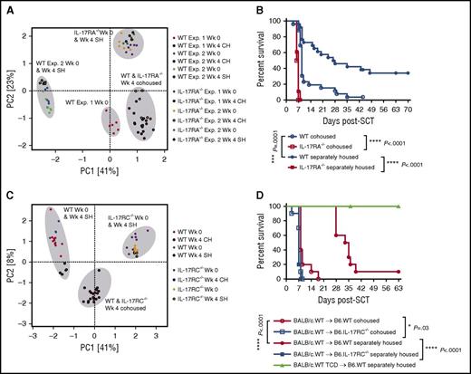 Figure 6. Transfer of microbiota during cohousing confers increased susceptibility to intestinal hyper-acute GVHD. (A) PCA plot of B6.WT and B6.IL-17RA−/− fecal microbiota sampled pre- and postcohousing (4 weeks) of mice. Data combined from 2 experiments (n = 12 per group) are shown with separately housed controls included within experiment 2 and sampled during the same period. (B) Cohoused or separately housed B6.WT or B6.IL-17RA−/− mice (n = 18 to 26 per group) were lethally irradiated (1000 cGy) and transplanted with G-CSF mobilized BALB/c.WT grafts. Survival is represented by Kaplan-Meier analysis: ***P = .0001, BALB/c.WT → B6.WT cohoused (blue open circle) vs B6.WT separately housed (blue filled circle); ****P < .0001, BALB/c.WT → B6.WT separately housed (blue filled circle) vs IL-17RA−/− separately housed (red filled square); ****P < .0001, BALB/c.WT → B6.WT cohoused (blue open circle) vs IL-17RA−/− cohoused (red open square). Data combined from 3 replicate experiments are shown. (C) PCA plot of B6.WT and B6.IL-17RC−/− fecal microbiota sampled pre- and postcohousing (4 weeks), and separately housed controls sampled during the same period. Data from a single experiment are shown (n = 5 to 10 per group). (D) Cohoused (4 weeks) or separately housed B6.WT or B6.IL-17RC−/− mice (n = 5 to 10 per group) were lethally irradiated (1000 cGy) and transplanted with G-CSF mobilized BALB/c.WT grafts (T-cell replete or TCD). Survival is represented by Kaplan-Meier analysis: ****P < .0001, BALB/c.WT → B6.WT cohoused (red open circle) vs B6.WT separately housed (red filled circle); ****P < .0001, BALB/c.WT → B6.WT separately housed (red filled circle) vs IL-17RC−/− separately housed (blue filled square); *P = .03, BALB/c.WT → B6.WT cohoused (red open circle) vs IL-17RC−/− cohoused (blue open square). Data combined from 2 experiments. CH, cohoused mice; PCA, principal component analysis; SH, separately housed mice; Wk, week.