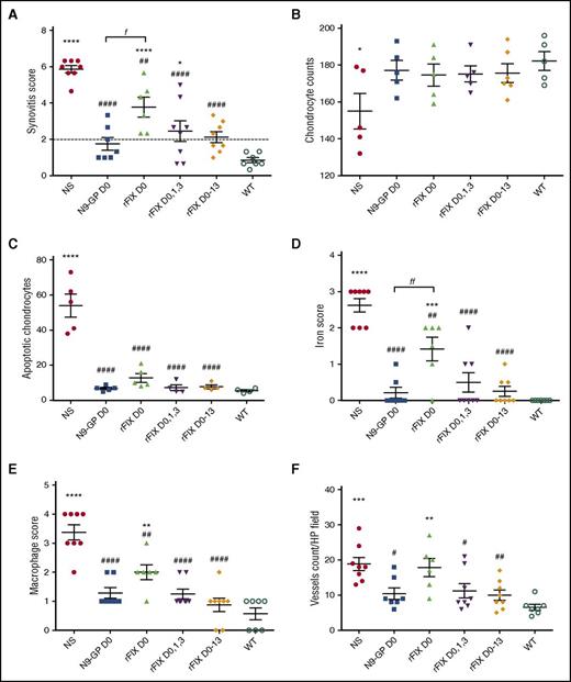 Figure 3. FIX therapy to support wound healing following hemarthrosis in the FIX−/− mouse joint. Joint hemorrhage was induced by needle puncture of the left knee joint capsule in all treatment groups, followed by tail vein infusion of first treatment or placebo (NS) at 20 minutes after wounding. Some treatment groups received repeated doses of rFIX at later time points as indicated. Treatment groups (6-8 mice/group) consisted of FIX−/− mice treated with a single dose of NS on day 0 (NS, ●); FIX−/− mice treated with a single dose of N9-GP on day 0 (N9-GP d0, ▪); FIX−/− mice treated with a single dose of rFIX on day 0 (rFIX d0, ▲); FIX−/− mice treated with rFIX on day 0, 1 and 3 (rFIX d0,1,3, ▼); FIX−/− mice treated with rFIX on day 0, 1,3,5,7,9,11,13 (rFIX d0-13, ♦); and WT mice treated with NS on day 0 (WT, ○). Points that are significantly different from “WT” are indicated by “*.” Points that are significantly different from “NS” are indicated by “#.” Markers of significance are used as follows: *P < .05, **P < .01, ***P < .001, ****P < .0001, #P < .05, ##P < .01, ####P < .0001; fP < 0.05, ffP < 0.01. (A) Synovitis grade. As reported previously,8 untreated FIX−/− mice always demonstrate synovitis pathology graded greater than two-tenths on the Valentino scale at 2 weeks after this injury, whereas hemostatically normal mice never score greater than two-tenths. The dashed line indicates the historical threshold value of 2. FIX−/− mice that received N9-GP but not unmodified rFIX demonstrated mean synovitis score below this threshold of 2 out of 10. Apoptotic (TUNEL stain positive) chondrocytes (B) and total chondrocytes (C) were counted from femoral and tibial cartilage using a 20× objective lens, and the mean and standard deviation for the entire cohort of animals at each time point are plotted. (D) Iron released from degraded erythrocytes was observed as the intensity of Prussian blue staining ferric iron at ×40 magnification and was graded in the heaviest areas of synovial and subsynovial staining as described in the supplemental Methods. (E) Macrophage infiltration was identified by immunostaining for CD68 observed at ×40 magnification and graded in the most heavily infiltrated portion of synovium as described in the supplemental Methods. (F) Vascular endothelial cells were identified by staining for VWF observed at ×40 magnification and counted in the staining areas of the synovium and subsynovium.