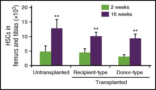 Figure 2. Transplanted and endogenous HSCs show similar increases in expansion. The numbers of donor (CD45.2+) and endogenous (CD45.1+CD45.2+) phenotypic HSCs (CD34−CD150+CD48−LSK) in the bone marrow of unconditioned CD45.1 × CD45.2 recipients 2 and 16 weeks after the transplantation of 1.6 × 108 purified CD45.2 Lin− cells or in the bone marrow of untransplanted mice (n = 4). All error bars represent standard deviations of the means. **P < .01.