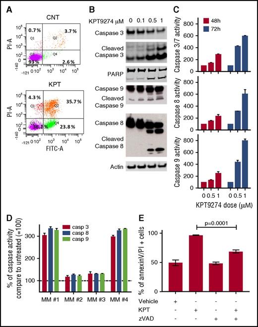 Figure 6. KPT-9274 triggers apoptotic cell death in myeloma cells. (A) OPM2 cells were cultured in the absence or presence of KPT-9274, and apoptotic cell death was assessed by flow cytometric analysis following AnnexinV and PI staining. The percent of AnnexinV+/PI− (early apoptosis) and AnnexinV+/PI+ (late apoptosis) cells are shown in the graphs. (B) Whole cell lysate from OPM2 cells treated with several concentrations of KPT-9274 for 48 hours was subjected to WB analysis and probed with antibodies against caspases-3, -8, -9, poly-ADP ribose polymerase, with β-actin as loading control. (C-D) Indicated caspase activities were evaluated in OPM2 cells (C) and CD138+ cells from 4 MM patients (D) after KPT-9274 treatment (0.5 µM) for 48 and/or 72 hours using luminescence assay. (E) OPM2 cells were cultured in the presence or absence of zVAD-fmk (100 µM) with or without KPT-9274 for 48 hours. Apoptosis was evaluated by flow cytometric analysis following Annexin V and PI staining. The percent of AnnexinV+ cells is shown in the graph.