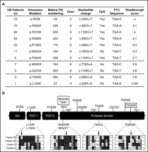 Figure 1. Features of F9 nonsense mutations selected for recombinant expression. (A) Features of HB-causing nonsense mutations listed according to the number of patients and type of nonsense triplet. The induced-readthrough score, ranging from 0 (unfavorable sequence) to 10 (highly favorable) was adapted from in vitro studies on G418-induced readthrough by Manuvakhova et al.14 (B) Schematic representation of FIX organization and relative position of nonsense mutations (top) and of predicted missense changes arising from readthrough (bottom). Rectangles highlight the most readthrough-responsive PTCs in our in vitro expression platform. The sequence alignments of the selected amino acid positions among the homologous FIX (NP_000124.1), FVII (NP_000122.1), FX (NP_000495.1), and protein C (NP_000303.1) are indicated below the corresponding missense variants. The asterisk indicates that readthrough over the W240X(TGAC) is expected to reinsert the authentic residue (tryptophan). The catalytic triad residues (black circles) are also numbered. EGF, epidermal growth factor–like domain.