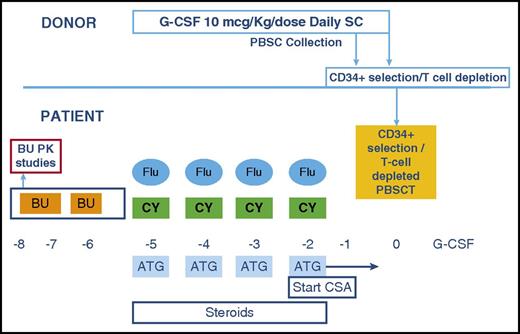 Figure 1. Conditioning regimen. BU, busulfan; CSA, cyclosporine; G-CSF, granulocyte colony stimulating factor; PBSCT, peripheral blood stem cell transplant.