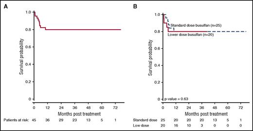 Figure 3. OS for the entire group (n = 45) (A), and according to 2 busulfan dosing groups (B).