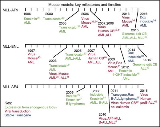 Figure 1. Mouse models: key milestones and timeline. A schematic of publication dates and the disease phenotype for different model systems. Green, expression from the endogenous locus; red, viral transduction models; blue, stable transgene models. MLL-AF9 models: 1996,26 2000,30 2005,322006,33,34 2007,402008,412013,362015,42 2016.38 MLL-ENL models: 1997,43 2003,31,35,45 2005,32 2007,40 2009,11 2012,48 2014,502015.42 MLL-AF4 models: 2006,27,52 2008,54 2010,8 2011,56,60 2016.65 OHT, 4-hydroxytamoxifen; Ras, rat sarcoma mutation; t-ALL, T-cell acute lymphoblastic leukemia.