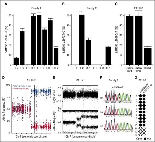 Figure 4. Somatic revertant mosaicism of the SAMD9L mutations. (A-B) Quantification of the frequency of the (A) SAMD9L c.2956C>T in family 1 and (B) SAMD9L c.2672T>C in family 2 relative to the wild-type allele in peripheral blood–derived DNA, as assessed by mutation-specific dPCR assay. (C) Additional quantification of the frequency of the SAMD9L c.2956C>T in DNA from a Guthrie card dried blood spot and a buccal swab from F1:III-2. For each sample, values represent the mean of at least 2 chips. Error bars denote 95% confidence levels. (D) Allele frequency of phased heterozygous variants on chromosome 7 of F1:III-2, as calculated from the allelic read-depth from WES data. The variants are color-coded on the basis of the parental origin, as indicated. The gray vertical lines indicate the centromere of chromosome 7, and the dashed line indicates the position of the SAMD9L c.2956C>T mutation. (E) Log R ratio of intensity signal and B-allele frequency for SNP on chromosome 7 of F2:II-1, as determined by SNP array. The dashed vertical line indicates the position of the SAMD9L c.2972T>C mutation. (F) Sanger traces from members of family 2, as indicated, for the SAMD9L c.2302A>T nonsense mutation identified in F2:I-2 (arrow). (G) Schematic representation of the genotype of PCR-derived SAMD9L clones spanning the SAMD9L c.2302A>T and c.2972T>C mutations. Open circles represent wild-type (wt) nucleotide sequence, whereas filled circles represent mutated (mut) nucleotide sequence.