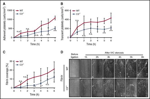 Figure 3. Reduced fibrin formation in C3−/− mice in venous thrombosis. Adherent (A) and transient (B) platelets, and fibrin coverage (C) were compared between C3−/− mice and WT controls under IVC stenosis condition and imaged for over 6 hours using intravital microscopy (D) (n = 4-5; 3-4 visual fields per mouse; mean ± SD). Scale bar: 100 μm. Consecutive measurements were evaluated by 2-way ANOVA followed by Bonferroni posttest. *P < .05; **P < .01; ***P < .001. h, hour; n.s., not significant.