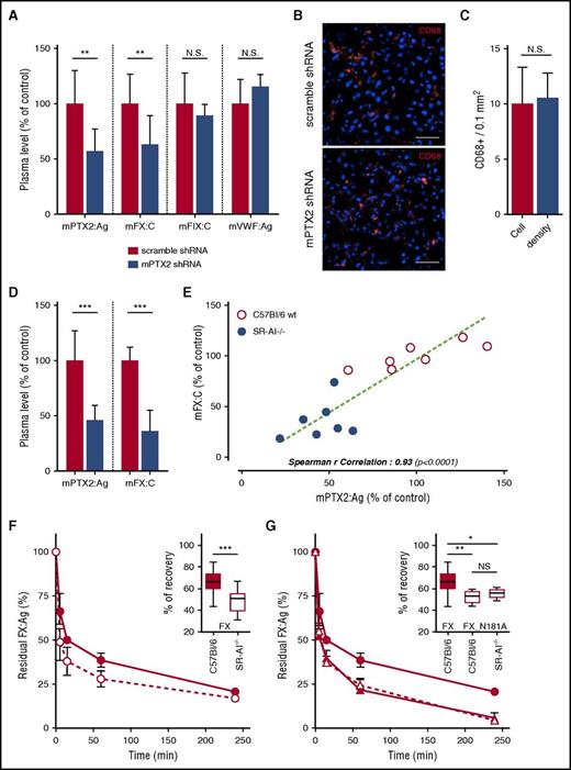 Figure 5. Effect of PTX2 and SR-AI on FX levels and clearance. Hydrodynamic gene delivery of anti-murine PTX2 shRNA in C57Bl/6 mice. Blood was taken by retro-orbital puncture 24 and 48 hours postinjection, and PTX2 antigen, FX and FIX activities, and VWF antigen were measured in the plasma (A). Control was performed using a scramble shRNA construct (red bars). Tissue cryosections of the liver were performed and immunostained for CD68 (B), and macrophages density was subsequently measured (C). Results are presented as the mean ± SD of 5 to 11 mice per condition in 3 different experiments. Representative images were acquired in widefield microscopy (B), objective 40×; bars represent 20 µm. (D) PTX2 antigen levels in plasma of SR-AI–deficient vs wt mice. Results are expressed in a whisker plot where boxes represent the median and 25th to 75th percentile, and bars represent the minimum and maximum of 7 mice per condition. (E) Correlation of PTX2 antigen level and FX activity in the plasma of wt and SR-AI–deficient mice. Spearman’s rank correlation coefficient was calculated to assess the statistical dependence of the 2 values. Dots represent each individual mice, and bars represent the mean ± SD. (F-G) C57Bl/6 (closed symbols) and SR-AI–deficient mice (open symbols) were injected in the caudal vein with 10 µg of FX (circles) or FX_N181A (triangles). Plasma was collected at different time point (5 minutes, 15 minutes, 1 hour, 4 hours, and 24 hours), and residual FX antigen was measured. Data are presented as percentage antigen relative to the amount injected (mean ± SD; 5 to 10 mice per group). Recoveries are presented separately in a whisker plot where boxes represent the median and 25th to 75th percentile, and bars represent the minimum and maximum (insert in G and F). *P < .05, **P <0.01, and ***P < 0.001, statistical difference in a Mann-Whitney nonparametric unpaired statistical test.
