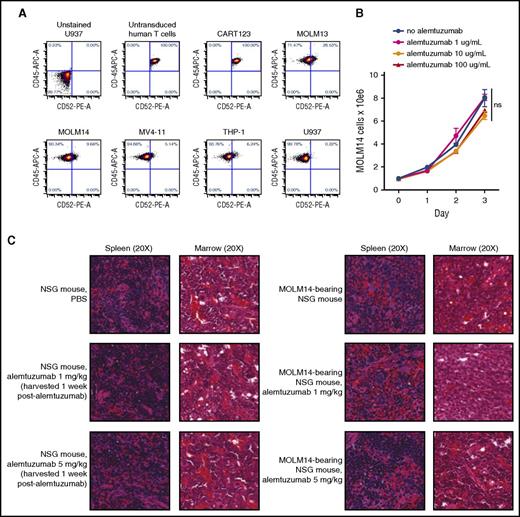Figure 2. Effects of alemtuzumab upon human AML. (A) Surface CD52 is minimally expressed on human AML cell lines MOLM13, MOLM14, MV4-11, THP-1, and U937 by FC analysis. Comparably bright CD52 expression is observed on normal human T cells (untransduced) and transduced CART123 cells used in subsequent in vivo experiments. (B) Coculture of MOLM14 cells with alemtuzumab and 15% complement (as in Figure 1) for 72 hours does not impair in vitro leukemia proliferation, as measured by viable cell counting with trypan blue exclusion. Each condition was performed in triplicate. Data points demonstrate mean cell count with standard error of the mean. (C) Histopathologic analyses of NSG mice treated with 1 dose of 1 mg/kg or 5 mg/kg alemtuzumab demonstrate no effect of alemtuzumab upon normal murine hematopoietic tissues (left panels) or upon human AML in NSG mice engrafted with MOLM14 (right panels). Images are hematoxylin and eosin–stained tissue sections from embedded paraffin blocks. Slides were scanned at ×20 magnification with an Aperio Scanscope CS-O slide scanner with visualization via the Aperio Image Analysis Toolkit (Leica Biosystems). ns, not significant by analysis of variance. PBS, phosphate-buffered saline.