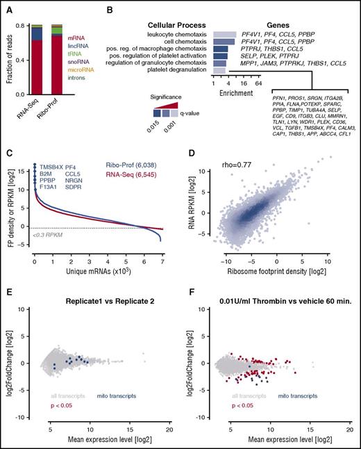 Figure 1. Ribosome profiling of human platelets. (A) Fraction of sequencing reads from RNA-Seq and ribosome profiling libraries mapped to genomic features. lincRNA, long, intergenic, noncoding RNA; tRNA, transfer RNA. (B) Gene ontology analysis of translated mRNAs (single ranked list; see “Methods”). (C) Numbers of unique transcripts identified by ribosome profiling (Ribo-Prof) and RNA-Seq. Yellow box indicates the sensitivity threshold 0.3 RPKM. (D) Scatter plot showing the correlation between RNA-Seq and ribosome profiling data from platelets (Spearman ρ = 0.77). (E,F) Analysis of the effects of 0.01 U/mL human thrombin for 60 minutes at 37°C on platelet translation. Blue, mitochondrial transcripts; FP, footprints; pos, positive; red, significant changes (adjusted P < .05); reg, regulation.