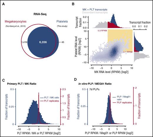 Figure 3. Comparative analysis of the platelet (PLT) and megakaryocyte transcriptomes. (A) Number of unique transcripts identified by RNA-Seq in megakaryocytes (Nürnberg et al, 2012)61 and platelets (this study). (B) Transcript abundance in megakaryocytes and platelets based on RNA-Seq data. Yellow inset indicates transcripts expressed above the determined threshold level (0.3 or 0.1 RPKM). Marginal histograms show the expression of discordant transcripts in megakaryocytes and platelets (gray and red) or shared transcripts (blue). (C) Histograms of platelet enrichment scores (platelet RPKM/MK RPKM; blue) or RNA-Seq replicates (platelet replicate 1 RPKM/platelet replicate 2 RPKM; red). (D) Identical analysis as in panel C performed for in vitro–derived PLPs and corresponding Meg01 samples.
