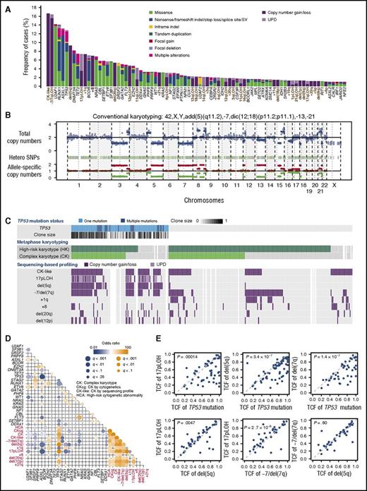 Figure 1. Summary of targeted-capture sequencing in 797 patients. (A) Frequency distribution of 81 genetic abnormalities, including 48 mutations and 32 abnormal chromosomal segments, which are designated along the bottom. Abnormal chromosomal segments are indicated in brown. Type of mutation and chromosomal lesions are also indicated. (B) A representative copy-number profile obtained from sequencing-based analysis, showing multiple alterations in chromosomal copy numbers, conforming to conventional cytogenetics. (C) Summary of major chromosomal copy-number abnormalities in 295 patients with mutated TP53, CK, and high-risk copy-number lesions (≥3 abnormalities or chromosome 7 abnormality, according to IPSS scoring system) as detected by either conventional cytogenetics and/or sequencing-based copy-number profiling. TP53-mutated tumor cell fractions are depicted in color gradient. (D) Correlation between mutations and copy-number abnormalities found in >3% in the entire cohort. Correlation coefficients and associated q values are indicated by the size of circles and color gradient. (E) Diagonal plots from various combinations of TCFs carrying TP53 mutations, del(5q), 17pLOH, and −7/del(7q), detected by sequencing-based copy-number profiling.