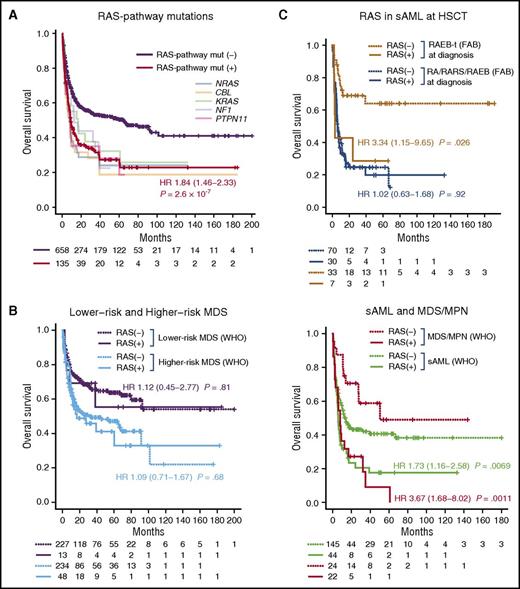 Figure 6. Effects of RAS-pathway mutations on overall survival. (A) Effects of combined RAS-pathway mutations on overall survival. Kaplan-Meier curves for individual RAS-pathway mutations, including NRAS, KRAS, CBL, NF1, and PTPN11 genes are also presented in indicated colors. (B) Effects of RAS-pathway mutations depending on disease subtype. (C) Effects of RAS-pathway mutations for sAML subtype depending on initial diagnosis. Kaplan-Meier curves for disease subtypes (B) and initial diagnosis (C) are presented. The numbers of patients at risk are shown at indicated time points along the bottom (A-C). Hazard ratios are also indicated in corresponding colors with 95% confidence intervals.