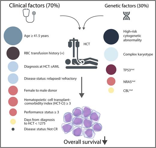 The relative weighted contributions (shown by circle size) of significant clinical factors and genomic factors that predict worse survival chiefly because of leukemic relapse after BMT for MDS and sAML. CR, complete response; HCT, hematopoietic cell transplant; mut, mutation; RBC, red blood cell count. Professional illustration by Somersault 18:24.