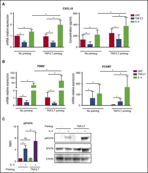 Figure 4. Impact of IL-4 on stromal cells committed to lymphoid stroma. (A-B) ADSCs were primed or not for 3 days with TNF/LT before treatment with TNF/LT, IL-4, or nothing (UNT) for 3 additional days and quantification of CXCL12, TGM2, and VCAM1 by RT-qPCR. The arbitrary value of 1 was assigned to ADSC maintained without any cytokine during all of the 6-day experiments. In addition, CXCL12 concentration was assessed by ELISA. Results represent the mean ± SD from 6 to 7 experiments. (C) ADSCs were primed or not for 24 hours with TNF/LT, starved for 2 hours, and then treated with IL-4 for 5 minutes. STAT6 activation was first evaluated by flow cytometry (left) and quantified as the RMFI of pSTAT6 staining in IL-4–treated vs IL-4–untreated cells (n = 6). In addition, STAT6, pSTAT6, and β-actin expression was determined by western blot, and 1 representative experiment of 2 is shown. ns, not significant. *P < .05.