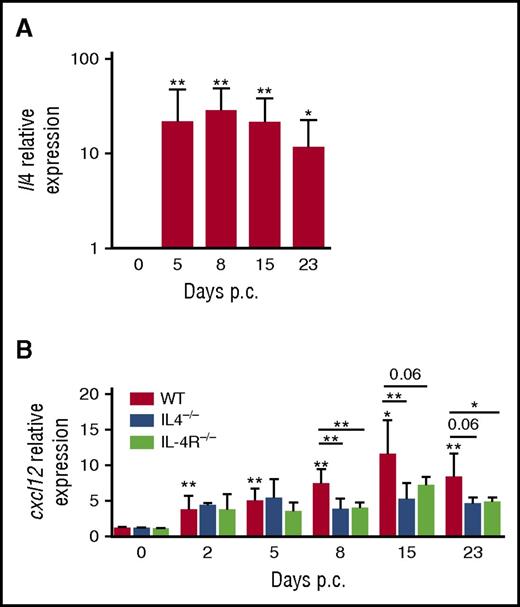Figure 5. IL-4/CXCL12 loop in a model of inducible ectopic lymphoid organs in mice. (A) RT-qPCR analysis of mRNA transcript for Il4 in wild-type (WT) mice on days 0, 5, 8, 15, and 23 days post cannulation (p.c.), normalized to Pdgfrß. Relative expression was calibrated to 0 day p.c. salivary glands. *P < .05; **P < .01 vs day 0. Results represent 2 experiments with 4 to 6 glands analyzed per group. (B) RT-qPCR analysis of mRNA transcript for Cxcl12 in WT mice, Il4−/− mice, and Il4r−/− mice on days 0, 5, 8, 15, and 23 p.c. normalized to Pdgfrß. Relative expression was calibrated to 0 days p.c. salivary glands. *P < .05; **P < .01 vs day 0. Results represent 2 experiments with 4 to 6 glands analyzed per group and are represented as the mean ± SD. Relative expression was calibrated to 0 day p.c. salivary glands. *P < .05; **P < .01.