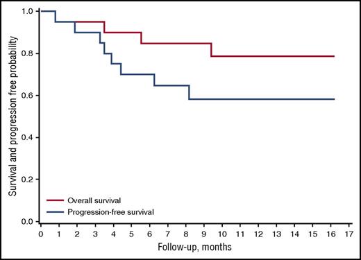 Figure 3. Survival and duration of response. Overall survival and progression-free survival after nivolumab initiation.