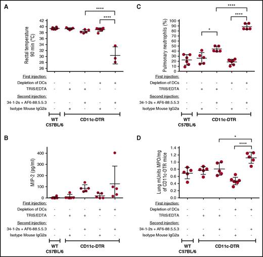 Figure 5. DCs inhibit TRALI-associated physiological responses. (A-D) Rectal temperatures (A), MIP-2 levels (B), pulmonary PMN percentages (C), and lung MPO enzyme activity (D) of either naive WT C57BL/6 mice or CD11c-DTR mice that were injected (+) or not (−) with the indicated reagents or antibodies. All mice were analyzed 90 minutes after the second injection. For the statistical analyses, only significant comparisons of interest are shown. The comparisons shown in panels A,C-D were analyzed by a 1-way ANOVA with a Tukey’s post hoc test. Each dot represents 1 mouse, and error bars represent SD. *P < .05, ****P < .0001.