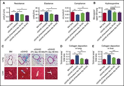 Figure 4. Pirfenidone treatment results in long-lasting effects and is able to reduce later-stage disease. Mice were transplanted as in Figure 1. Mice were untreated or treated, as indicated, with pirfenidone from days 28 to 56 or days 56 to 84. All mice were evaluated on day 84. (A) Pulmonary function tests on day 84 showed that pirfenidone effects were significant even 4 weeks after treatment cessation. In addition, pirfenidone treatment was effective even when treatment started at late stage (day 56) of the disease. (B) Hydroxyproline assay correlated with pulmonary function test result. (C) Masson’s trichrome staining of lung and liver. (D-E) Quantification of trichrome staining area in the lung and liver. Five to 8 mice were analyzed for each assay. *P ≤ .05, **P < .01, ***P < .001; data are shown as the mean ± SEM.