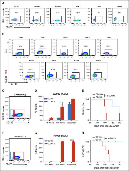 Figure 1. Expression and function of CD105 in acute leukemias. (A-B) Representative FACS plots show CD105/endoglin expression in several leukemic cells lines (A) and in primary ALL (n = 5) and AML (n = 4) blasts (B). Primary leukemic blasts were initially gated based on SSC and the expression of CD45, CD34, and/or CD38, CD19, or CD117, as shown in supplemental Figure 1. Percentages represent CD105 expression. (C-E) Leukemia-forming activity of AML blasts based on CD105 expression. (C) FACS plot shows gating strategy for the sorting of CD105+ (red) and CD105− (blue) subfractions from the AML blast population. (D) Presence of hCD45+ cells in the PB of NSG mice that had been injected with CD105+ (red) and CD105− (blue) AML blasts. Leukemia-forming activity was increased in the CD105+ AML blast subfraction. Bars represent average percentage of hCD45, and error bars indicate standard error of the mean (SEM) for each cohort (n = 3 per group). *P < .05 by Student t test. (E) Reduced survival rate in mice injected with CD105+ AML blasts (n = 3). *P < .05 by log-rank test. (F-H) Leukemia-forming activity of ALL blasts based on CD105 expression. (F) FACS plot shows gating strategy for the sorting of CD105+ (red) and CD105− (blue) subfractions from the ALL blast population. (G) Graphic shows expression levels of hCD45+ cells in the PB of NSG mice that had been injected with CD105+ (red) and CD105− (blue) ALL blasts. Leukemia-forming activity was restricted to the CD105+ ALL blast subfraction. Error bars indicate SEM for each experimental group (n = 5). ****P < .0001 by Student t test. (H) Reduced survival rate in mice injected with the CD105+ ALL blasts (n = 5 per group). ** P < .01 by log-rank test. SSC-H, SSC height.