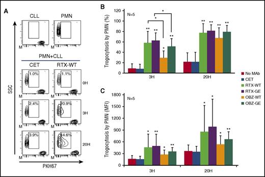 Figure 2. PMNs mediate trogocytosis of CLL B cells opsonized with anti-CD20 antibodies. Purified PMNs were cocultured with PKH67-labeled CLL B cells at a 1:3 E:T ratio and 10 µg/mL of anti-CD20 antibodies RTX-WT, RTX-GE, OBZ-WT, OBZ-GE, or CET control antibody. At 3 (3H) or 20 hours (20H), partial transfer of fluorochrome (trogocytosis) from CLL B-cell membranes to PMNs was measured by flow cytometry, after gating PMNs according to side scatter (SSC). (A) Example of the gating approach showing CLL B cells and PMNs at time point 0 (0H) as well as in coculture experiments at various times in the presence of CET or RTX-WT. The gates show the percentages of PMNs engaged in trogocytosis. (B-C) Results of experiments performed with the indicated antibodies and in which either (B) percentage trogocytosis or (C) mean PKH67 fluorescence on gated PMNs were measured. Results are the means and standard deviations of 5 independent experiments. *P < .05; **P < .01.