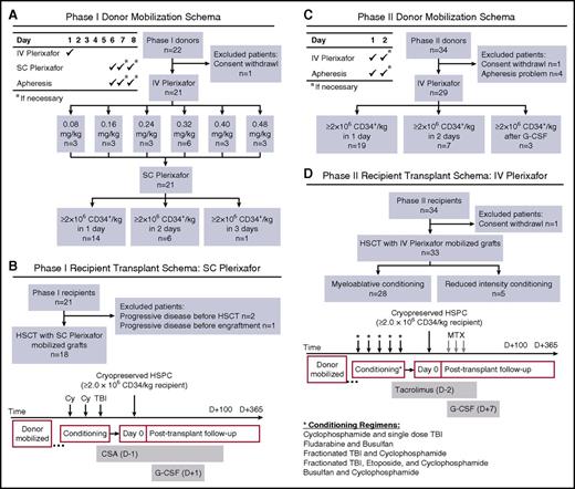 Figure 1. Clinical trial schemas and STARD diagrams of flow of participants through the study. An open-label phase 1/2 trial was conducted to evaluate CD34+ HSPC mobilization with IV plerixafor. (A) Phase 1 donor mobilization schema and STARD flow diagram. HLA-identical sibling donors (≥18 years old) received IV plerixafor the morning of day 1 over 30 minutes with blood sampling obtained before and throughout the course of mobilization. After a 4-day washout period, SC plerixafor (0.24 mg/kg) was administered on day 6, approximately 4 hours before initiation of a 20-L apheresis. Products were cryopreserved and if the desired target of ≥2 × 106 CD34+ HSPCs/kg recipient weight was not achieved, the donor was remobilized using 0.24 mg/kg SC plerixafor. (B) Phase 1 recipient transplant schema and STARD flow diagram. Similar to our prior SC plerixafor trial, recipient conditioning used myeloablative cyclophosphamide (60 mg/kg per day on days −3 and −2) and single-dose total body irradiation (TBI; 550 cGy, day −1). Cyclosporine A (CSA) was used as GVHD prophylaxis and G-CSF was administered starting on day 1 until neutrophil engraftment. (C) Phase 2 donor mobilization schema and STARD flow diagram. HLA-identical sibling donors (≥18 years old) received IV plerixafor the morning of day 1 over 30 minutes with blood sampling obtained before initiation of a 20-L apheresis. Products were cryopreserved, and if the desired target of ≥2 × 106 CD34+ HSPCs/kg recipient weight was not achieved, the donor was remobilized the following day using 0.32 mg/kg IV plerixafor. If ≥2 × 106 CD34+ HSPCs/kg recipient weight was not achieved after 2 days of IV plerixafor, the donor was remobilized using G-CSF. (D) Phase 2 recipient transplant schema and STARD flow diagram. In contrast to our prior study, recipients in phase 2 of this study were conditioned with myeloablative or reduced intensity regimens (as outlined in the schema), followed by infusion of the entire collected product on day 0 and short-course methotrexate (MTX) and tacrolimus GVHD prophylaxis. In addition, G-CSF was administered starting on day 7 until neutrophil engraftment. STARD, Standards for Reporting of Diagnostic Accuracy.