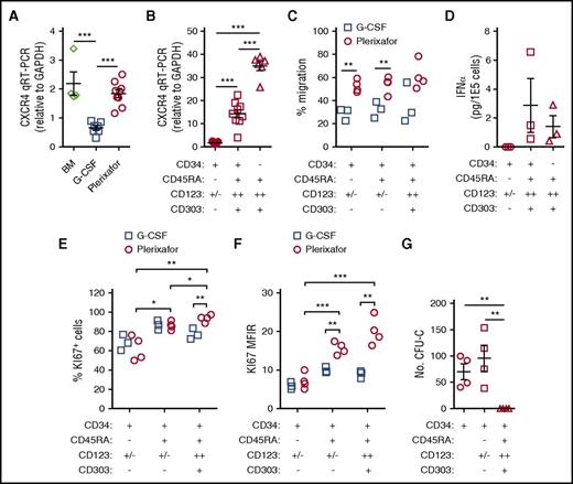 Figure 5. Functional characterization of CD34 subsets. (A-B) Quantitative reverse transcription polymerase chain reaction (qRT-PCR) analysis of CXCR4 mRNA. (A) Expression of CXCR4 mRNA in CD34+ HSPCs. Total CD34+ HSPCs were purified by immunomagnetic selection from normal healthy bone marrow (n = 4), G-CSF (10 μg/kg per day × 5 days) mobilized leukapheresis products (n = 7), or plerixafor-mobilized leukapheresis products (n = 9). qRT-PCR of CXCR4 mRNA in the different cell subsets was normalized to GAPDH. (B) Expression of CXCR4 mRNA in CD34+ HSPC subsets. CD34+ HSPCs (n = 7) from plerixafor-mobilized leukapheresis products were purified by magnetic-activated cell sorting and CD34+CD45RA−CD123+/− HSPCs (n = 9); CD34dimCD45RA+CD123++ pro-DC2 cells (n = 9) were isolated by flow cytometry. (C) CD34+ HSPCs from plerixafor (n = 4) or G-CSF (n = 3) mobilized leukapheresis products were purified by immunomagnetic selection and added into the upper chamber of a 5-μm pore size transwell. After 4 hours, migrated cells recovered from the lower chamber were counted and CD34+CD45RA−CD123+/−, CD34+CD45RA+CD123+/−, and CD34+CD45RA+CD123+ were enumerated by flow cytometry (D) after treatment with ODN2216. Flow cytometry–purified CD34+CD45RA+CD123++CD303+ pro-DC2 cells were treated with vehicle alone or ODN2216 (a CpG TLR9 agonist) in the presence of IL-3 and CD40 ligand-transfected L cells. After 48 hours, the amount of IFN-α in the supernatant was determined using an enzyme-linked immunosorbent assay. Purified CD34+CD45RA− HSPCs and CD34−CD45RA+CD123++CD303+ pDCs were included in these studies as negative and positive controls, respectively. (E) CD34+ HSPCs from plerixafor-mobilized (n = 4) or G-CSF–mobilized (n = 3) leukapheresis products were purified by immunomagnetic selection; KI67 expression was evaluated by flow cytometry. The percentage of KI67 positive cells (E) and KI67 MFIR (F) is shown. (G) MethoCult colony-forming unit assay of CD34 subsets. Statistical comparisons were performed using an unpaired 2-tailed Student t test. *P < .05, **P < .01, ***P < .001.
