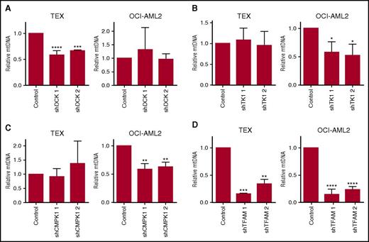 Figure 2. Cytoplasmic nucleoside kinases regulate mtDNA levels. DCK (A), TK1 (B), CMPK1 (C), and TFAM (D) were knocked down with shRNA in TEX and OCI-AML2 cells as described in “Materials and methods.” After target knockdown, mtDNA content was assessed by quantitative reverse transcription polymerase chain reaction (qRT-PCR) using primers for mt-ND1 relative to nuclear-encoded HGB. Immunoblots are displayed in supplemental Figure 3. Data are shown as mean ± standard deviation (SD) of 3 independent experiments. *P < .05, **P < .01, ***P < .001, and ****P < .0001 using the Bonferroni posttest after 1-way ANOVA. NS, not significant.
