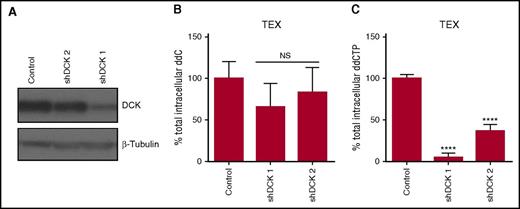 Figure 4. DCK knockdown reduces levels of ddCTP. (A) DCK was knocked down in TEX cells using shRNA. Levels of DCK were measured in whole-cell lysates by immunoblotting 7 days posttransduction. A representative immunoblot is displayed. (B-C) Quantification of total intracellular ddC and ddCTP by LC-MS/MS in DCK knockdown or control shRNA TEX cells following treatment with 1 µM ddC for 4 days. ddC and ddCTP levels were normalized to 106 cells input. Data are shown as mean ± SD of 2 biological replicates performed at least in triplicate. NS, not significant.
