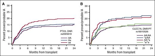 Figure 1. Cumulative incidence curves of replicated SNPs in PTX3 and CLEC7A and development of IA in the 24 months following hematopoietic cell transplantation. (A) PTX3; (B) CLEC7A. AA, homozygous for major allele; Aa, heterozygous; aa, homozygous for minor allele; *a, Aa, or aa (dominant for minor allele); DNR/PT, donor and patient genotypes.